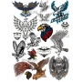 Векторный макет «eagles»