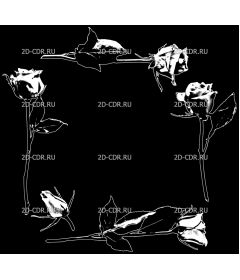 Розы (99)