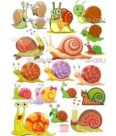 snail