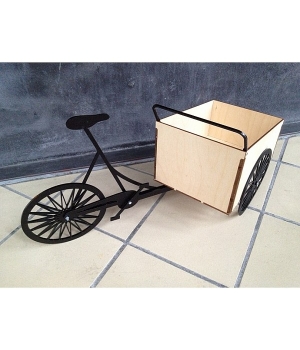 Ящик на велосипеде