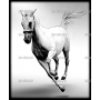 Изображение для гравировки «Лошадь (5)»