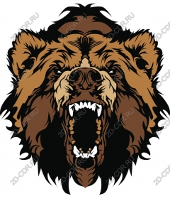  Roaring Bear