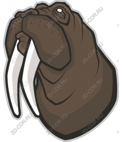  Walrus - a Bizarre Maritime art