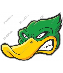  Fierce cartoon duck