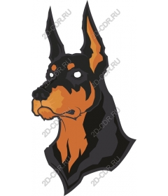 Doberman