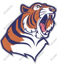 Roaring tiger head
