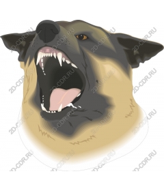  Ferocious dog barking