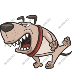  Ferocious bulldog