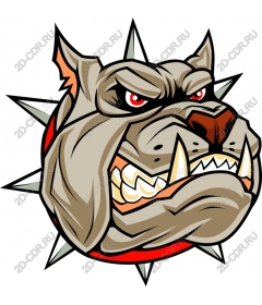Head ferocious bulldog