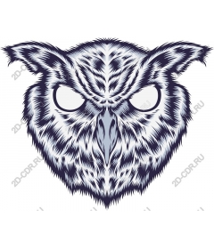 Mystical art of owl head