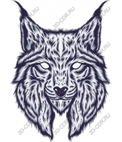  A majestic lynx