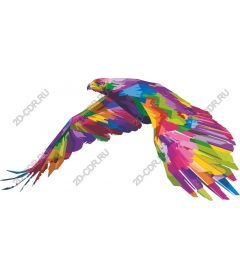  Colorful soaring eagle