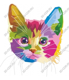  Bright face cats