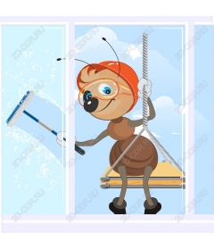  Cleaning window from ants