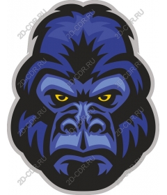  Fierce Blue Gorilla