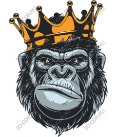 King Gorilla