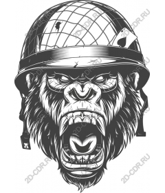  The monkey warrior