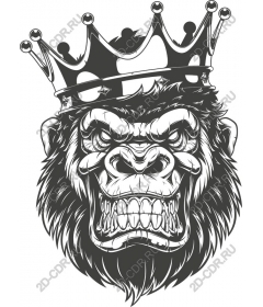  Ferocious king of the gorillas