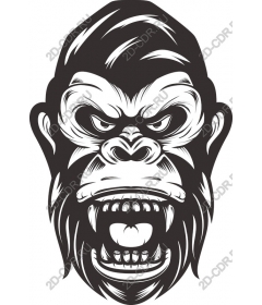 Head ferocious gorilla
