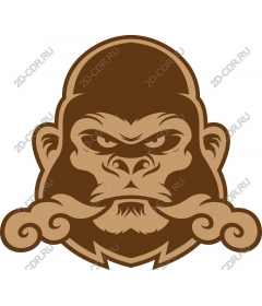  Ferocious gorilla