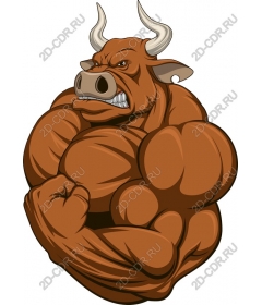  Muscular Bull
