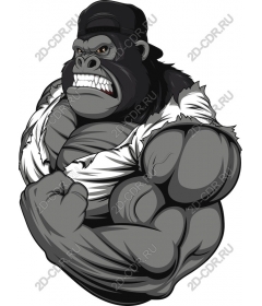 Muscular gorilla