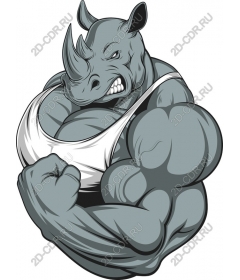 Muscular Rhino