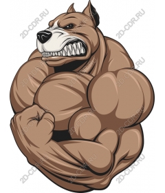  Ferocious muscular dog