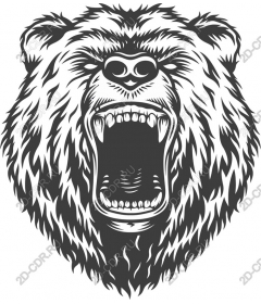 Roaring Bear