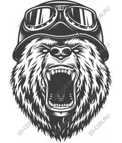  Retro glasses Fierce Bear