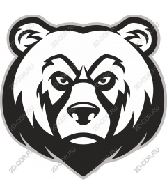  Brave bear