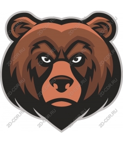  Ferocious brown bear