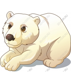  Charming white bear