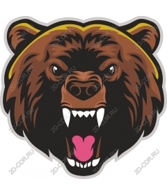 Head of grizzly bear