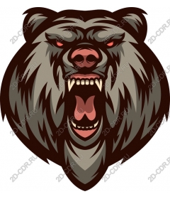 Head of a ferocious bear ravasio
