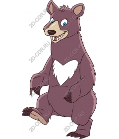  Bizarre cartoon bear