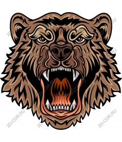 Head of roaring bear