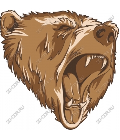 Roaring Bear