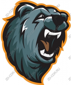 The head of the bear