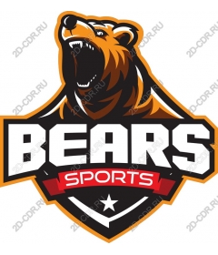  The Logo Bears Sports