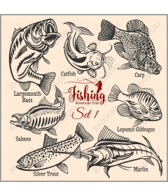 Рыболовный набор American Fish 1