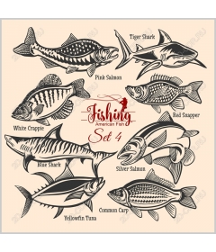 Рыболовный набор American Fish 4