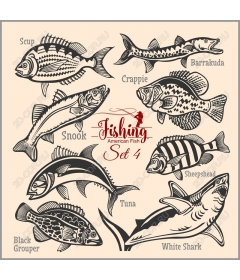 American fish set of 4 - Vintage collection