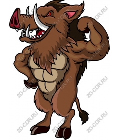  Muscular boar