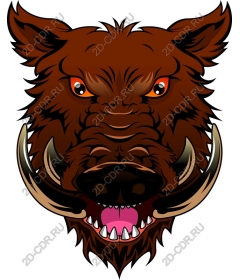  Ferocious boar's head