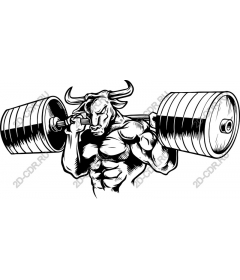  Weightlifting bulls