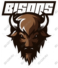  The Power Of The Buffalo