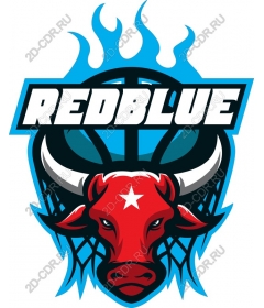  The logo of the basketball team Fierce Bull