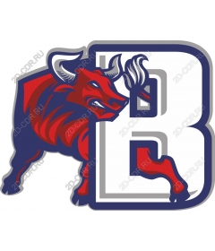  Ferocious bull with the letter B