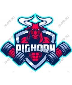 Фитнесс для быков Ригхорн